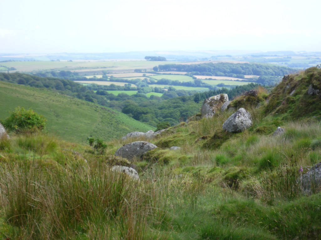 Yealm Steps in summer, with lush green grass around rocks and a view of woods and hills beyond