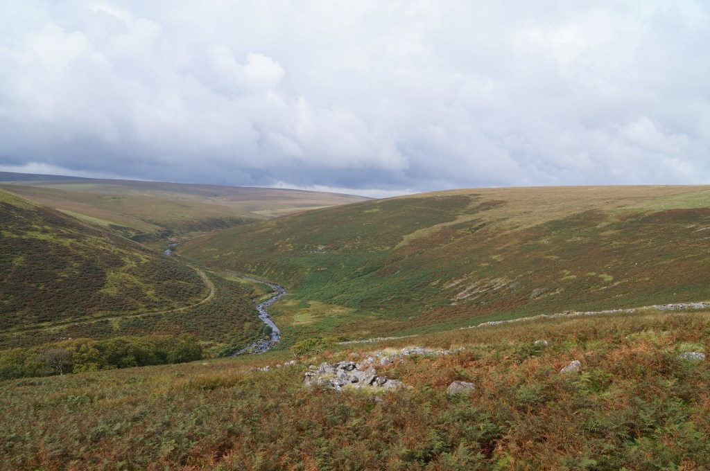 A view of a Dartmoor river valley in Autumn, covered in browning bracken