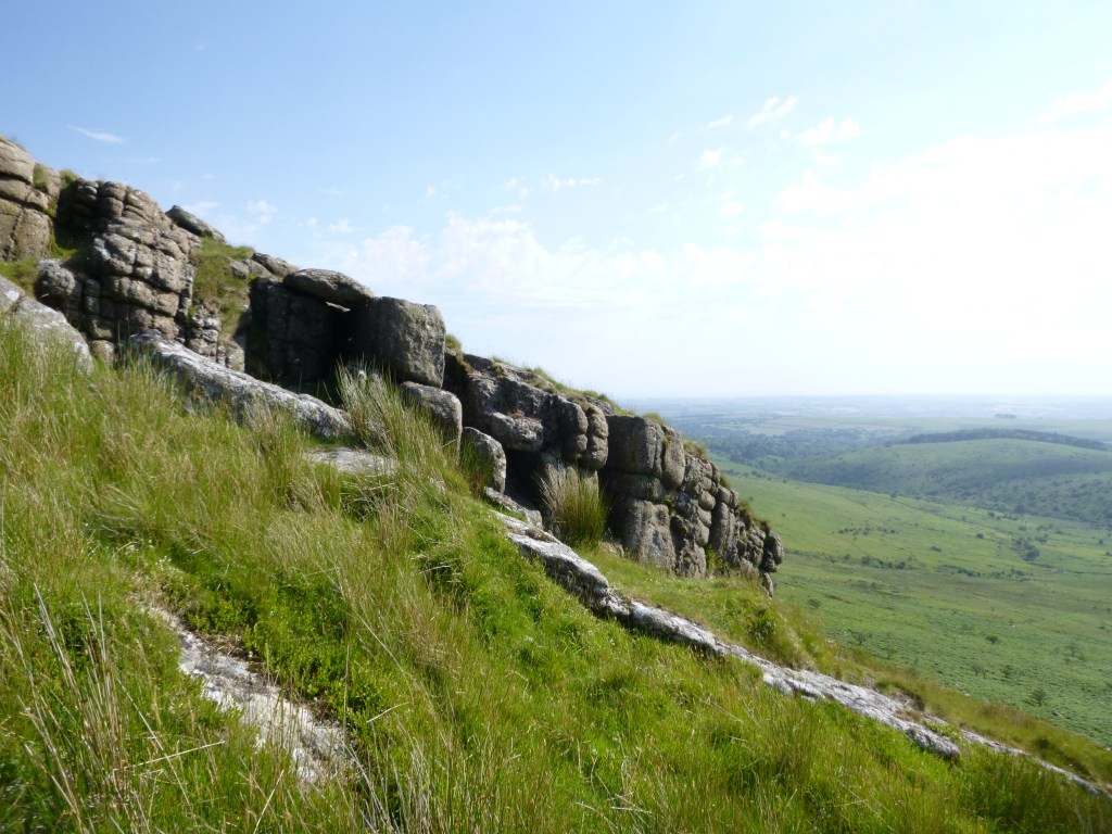 A tor surrounded by green grass